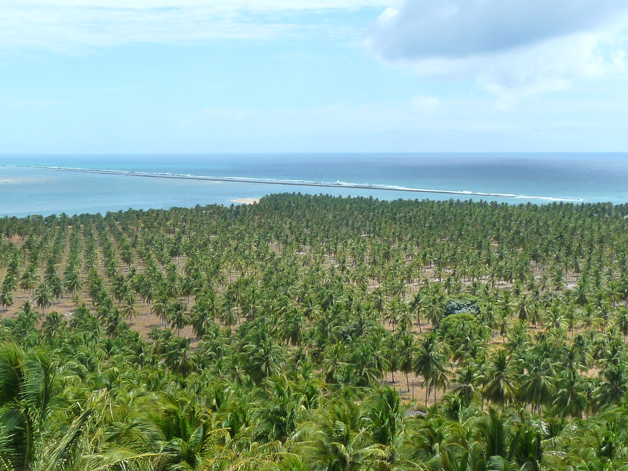 Barra de S. Miguel + Praia do Gunga