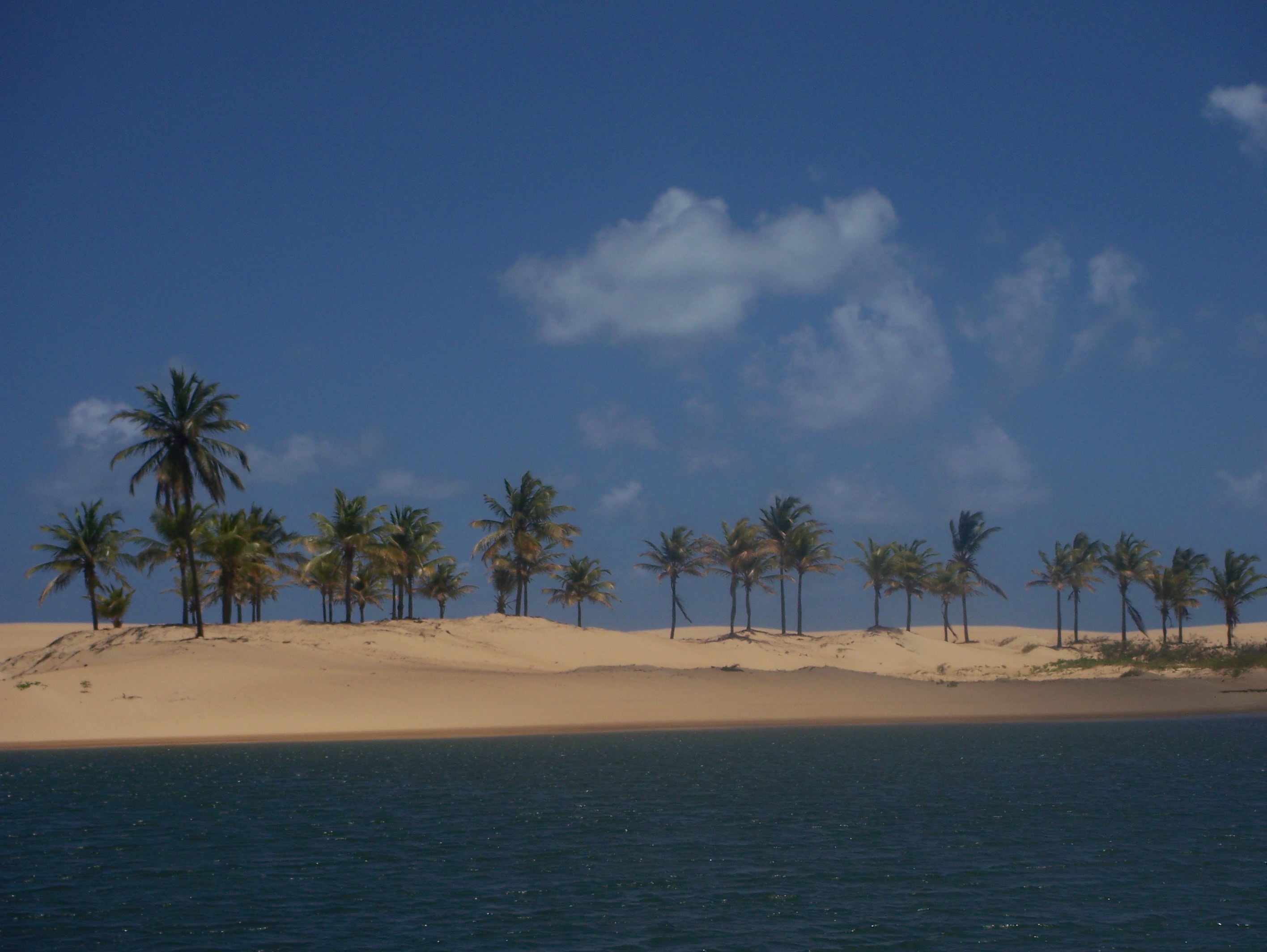 Foz do Rio São Francisco