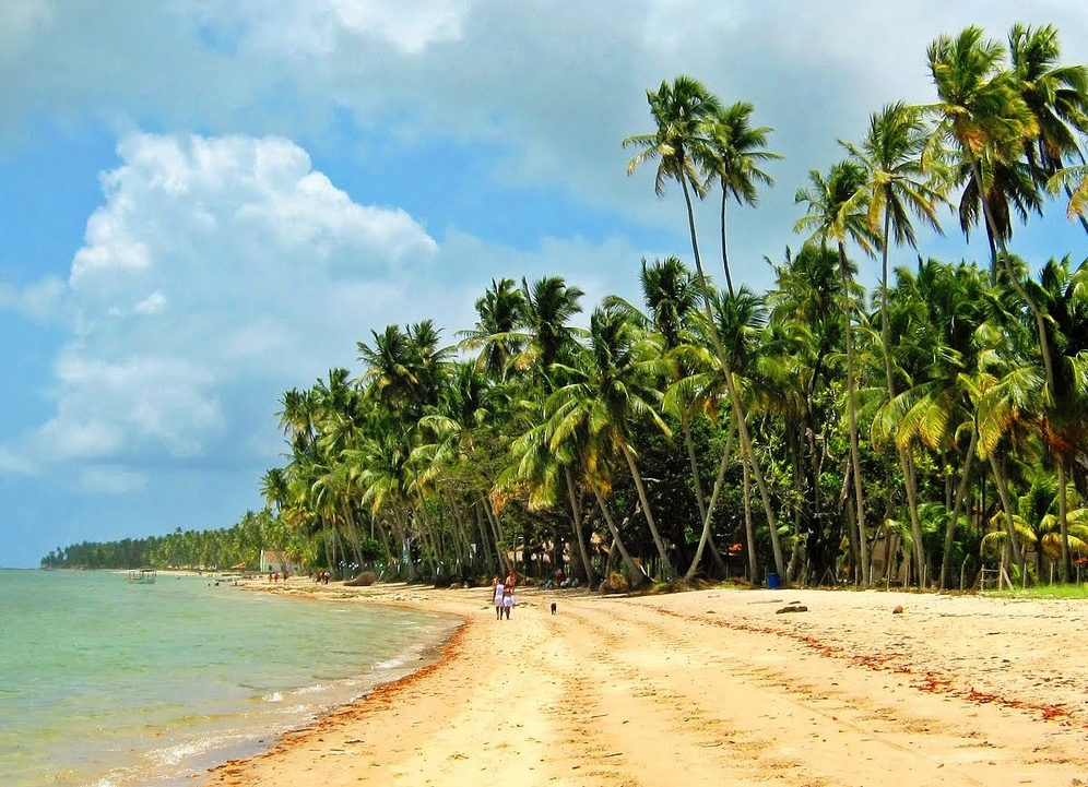 Praia dos Carneiros (PE)